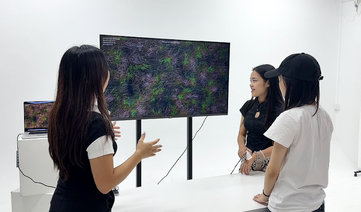 Guided conversation with SOMA CHROMA participants