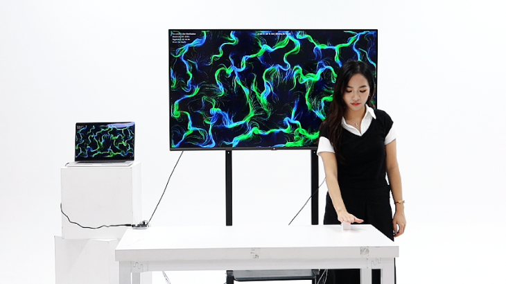 SOMA CHROMA static display with participant and generative landscape